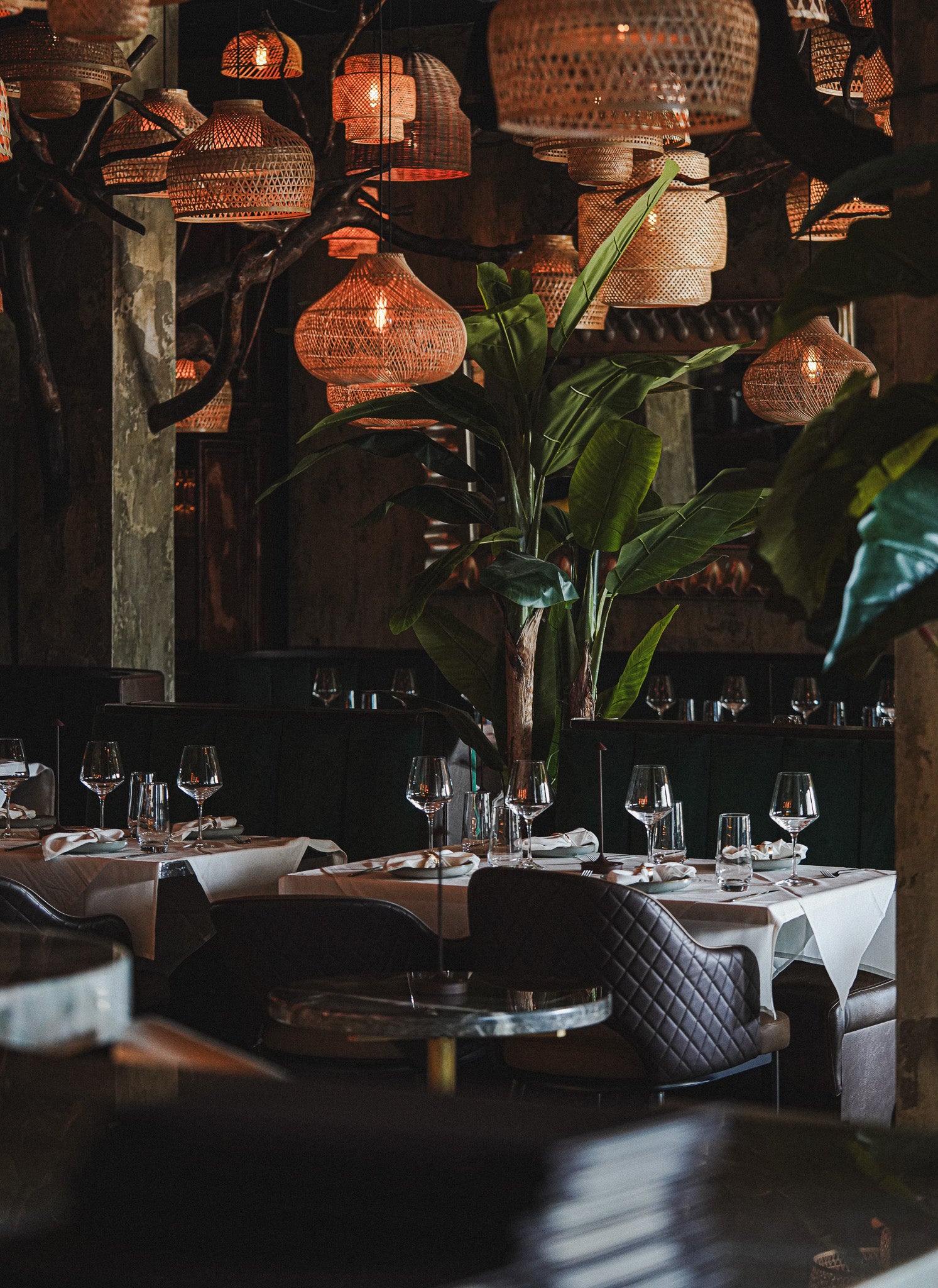Casa Matilda | Miami Fine Dining Restaurant